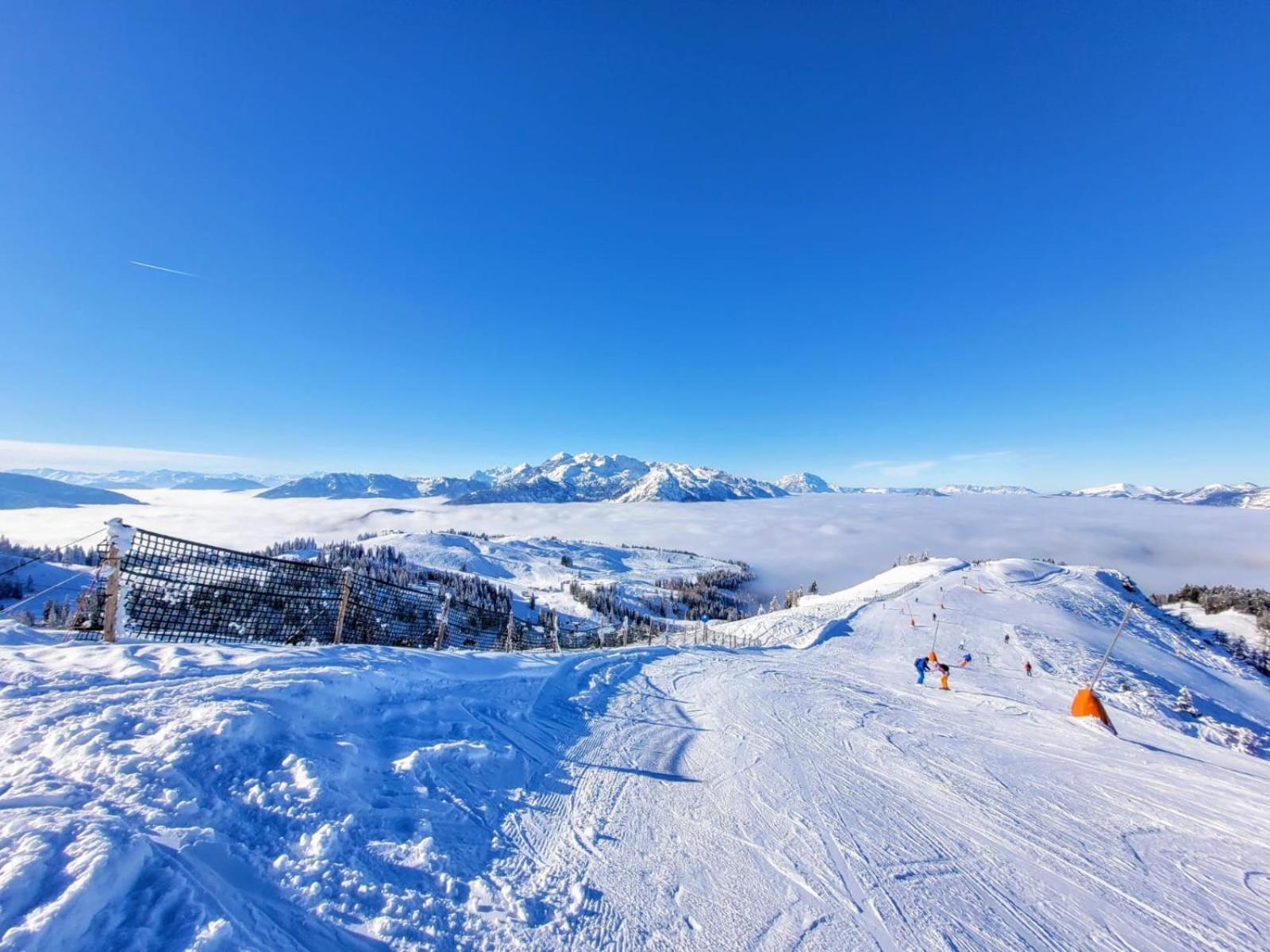 Alpenhaus Dachstein.Zauber Apartment Abtenau Bagian luar foto