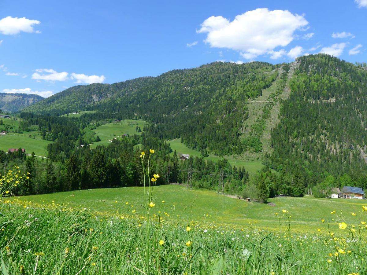 Alpenhaus Dachstein.Zauber Apartment Abtenau Bagian luar foto