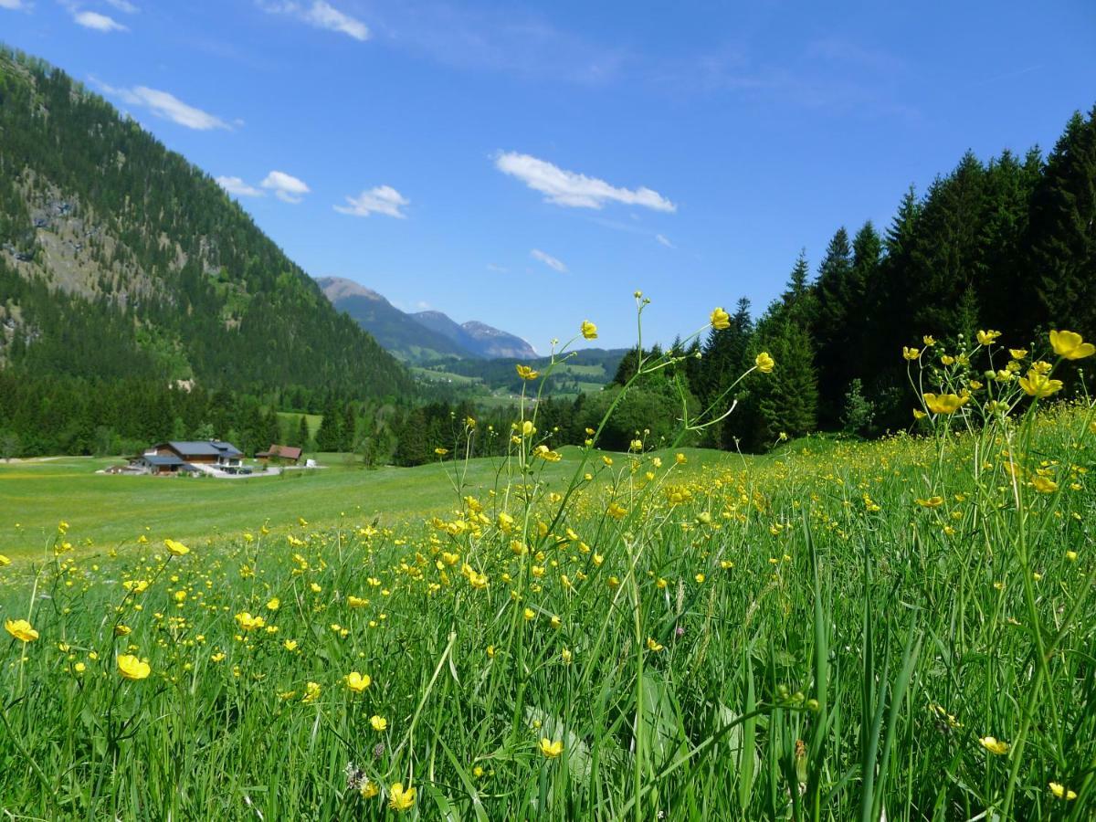 Alpenhaus Dachstein.Zauber Apartment Abtenau Bagian luar foto