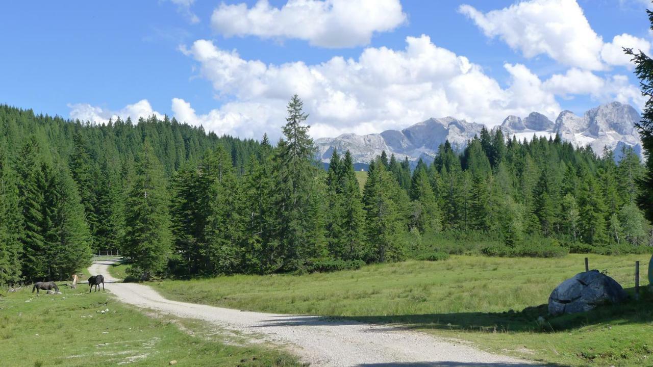 Alpenhaus Dachstein.Zauber Apartment Abtenau Bagian luar foto