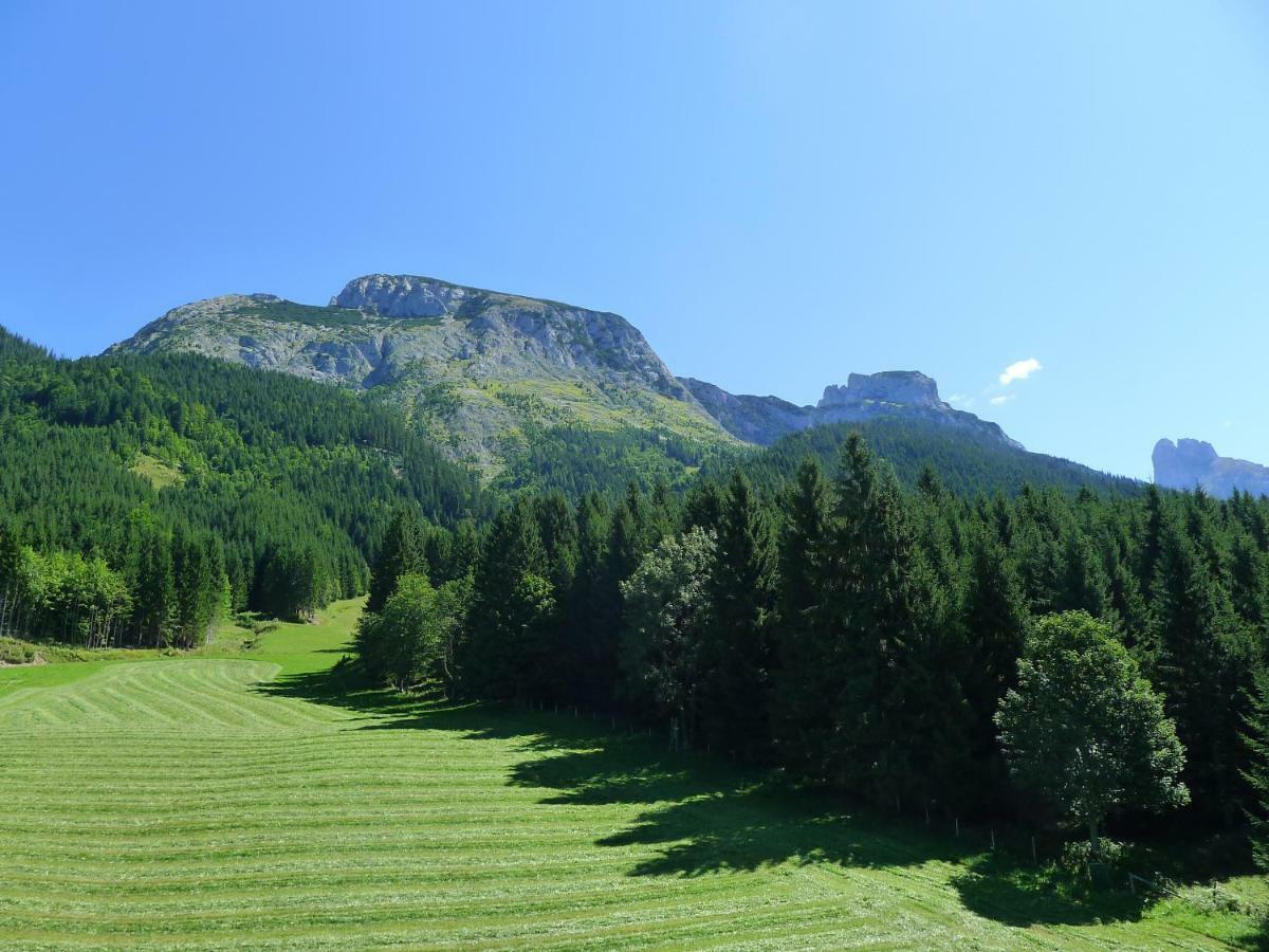 Alpenhaus Dachstein.Zauber Apartment Abtenau Bagian luar foto