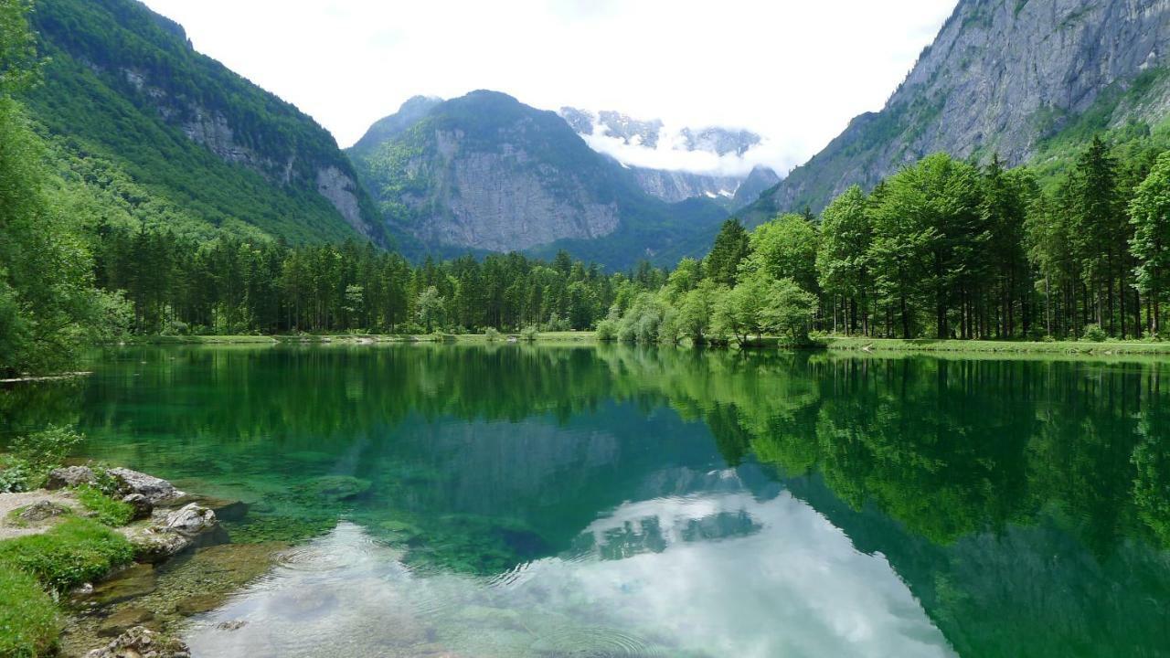 Alpenhaus Dachstein.Zauber Apartment Abtenau Bagian luar foto