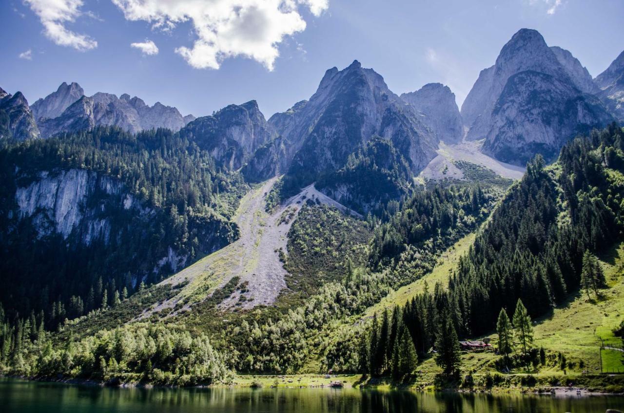 Alpenhaus Dachstein.Zauber Apartment Abtenau Bagian luar foto
