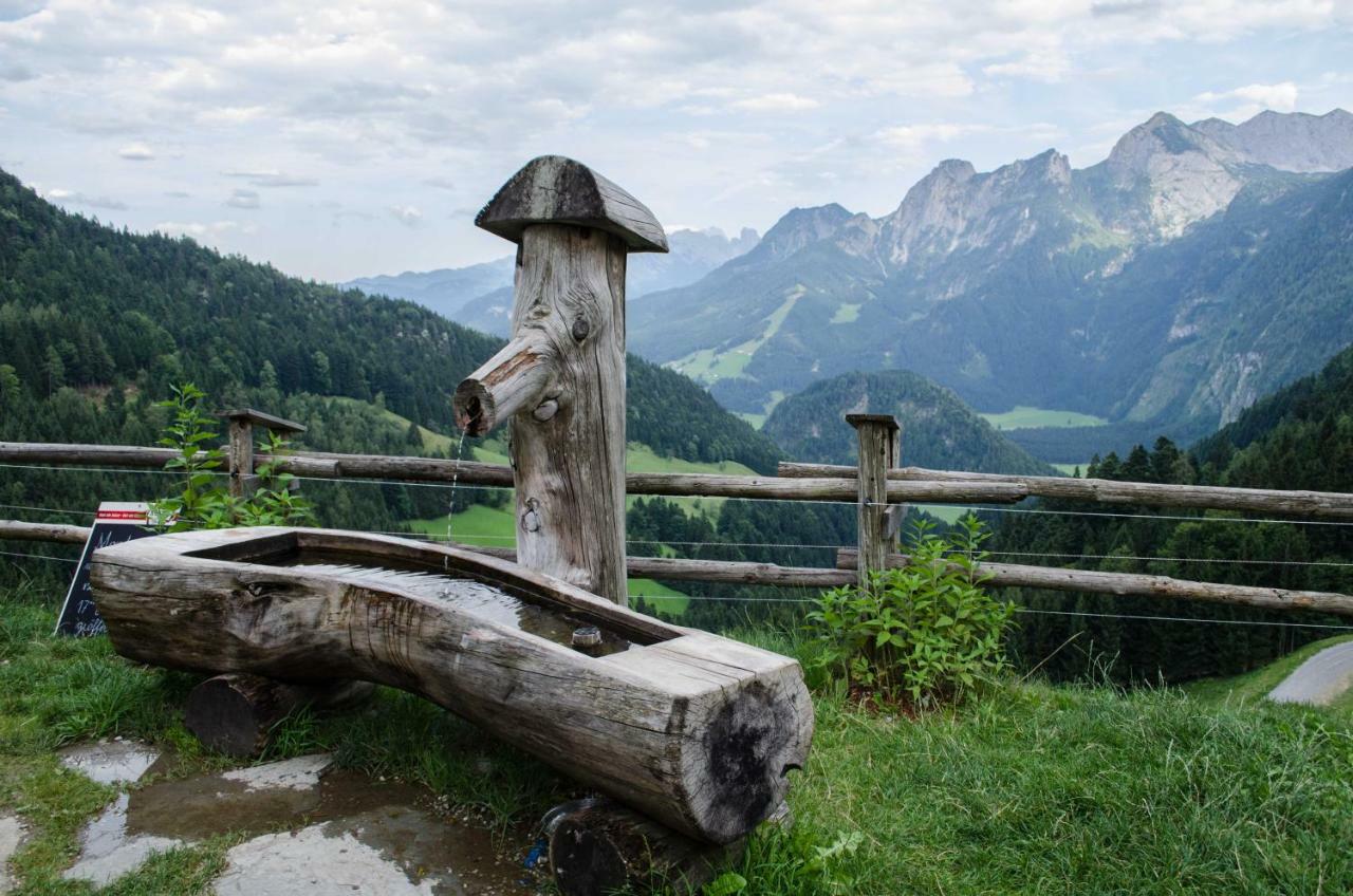 Alpenhaus Dachstein.Zauber Apartment Abtenau Bagian luar foto