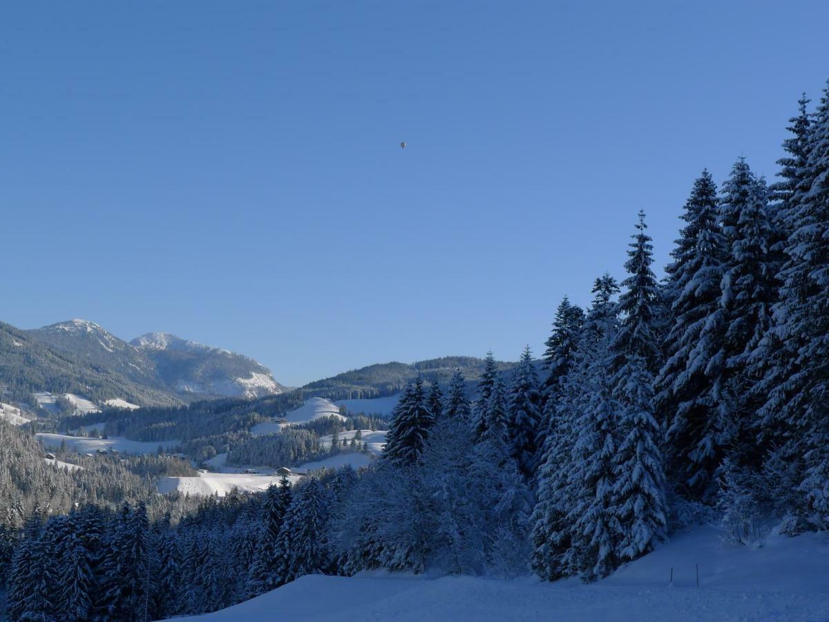 Alpenhaus Dachstein.Zauber Apartment Abtenau Bagian luar foto