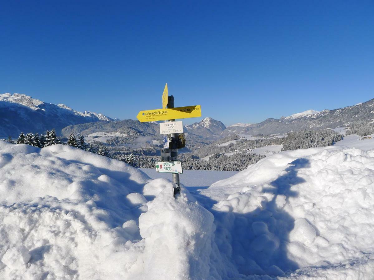 Alpenhaus Dachstein.Zauber Apartment Abtenau Bagian luar foto